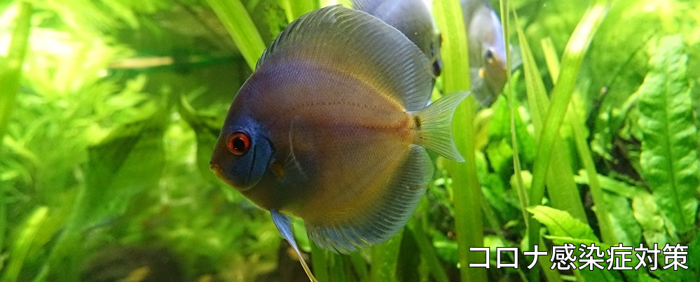 横浜,川崎,経営者,財務,コンサルタント