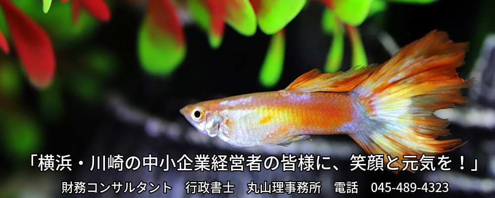 コンサル,パートナー,横浜,川崎