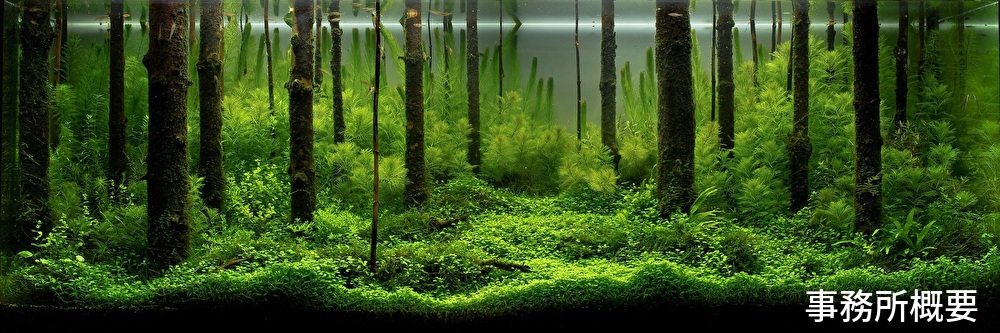 財務,コンサルタント,相談,経営,事務所