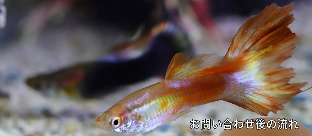 コンサル,パートナー,横浜,川崎,財務表