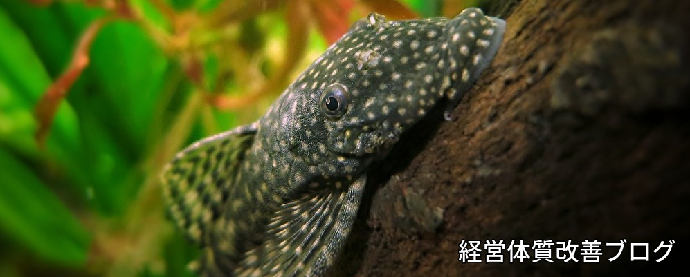 横浜,川崎,起業,創業,経営