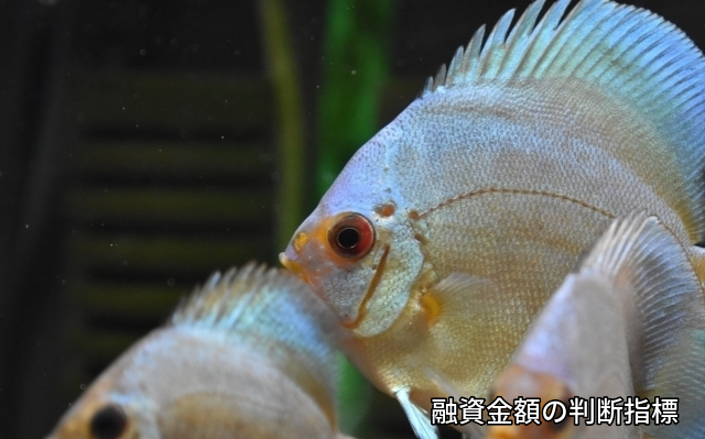 財務,資金繰り,改善,売上,3倍