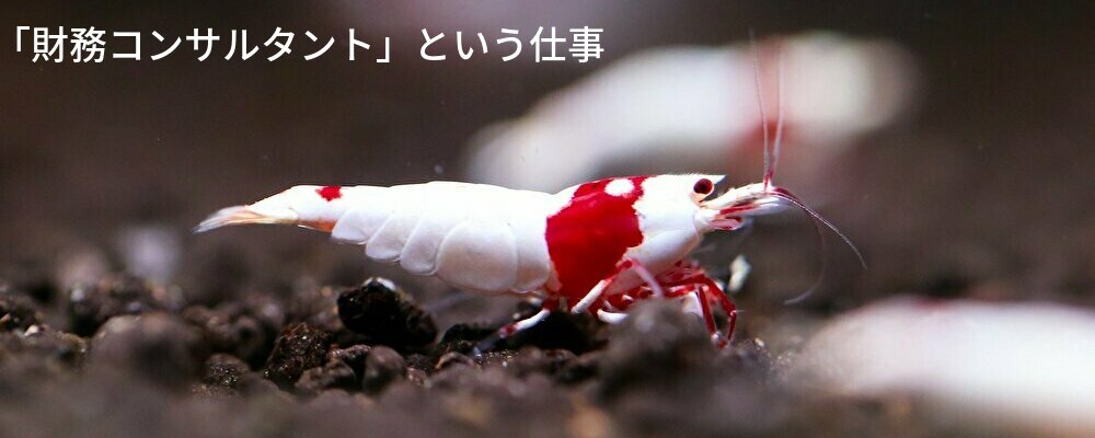 財務,コンサルタント,相談,経営