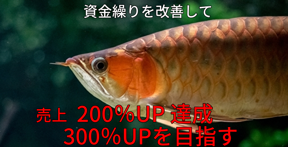 財務,資金繰り,改善,売上,3倍