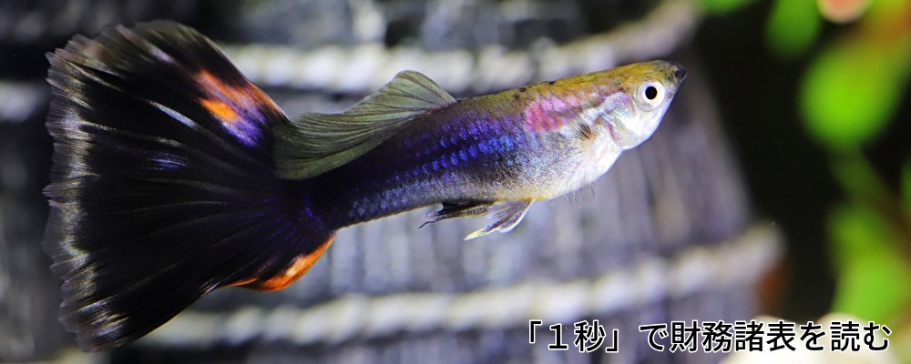 コンサル,パートナー,横浜,川崎,財務表