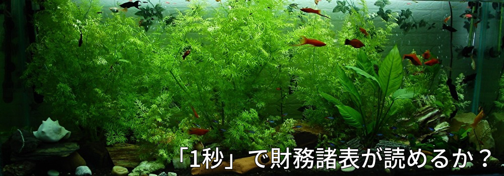 資金,調達,融資,財務諸表,貸借対照表,決算書