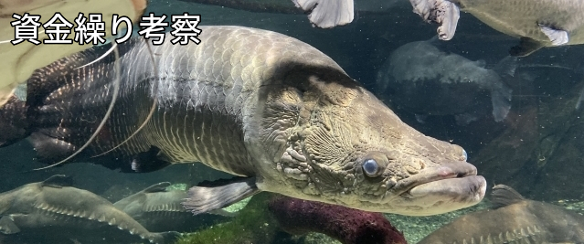 資金,調達,直接,債務者格付け,倒産,事業再生,リスケ