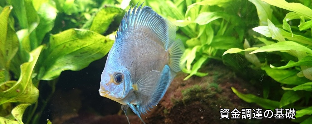 資金調達,金融機関,政策金融公庫,制度融資