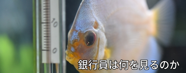 資金,調達,直接,債務者格付け、担保,信用保証協会